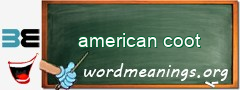 WordMeaning blackboard for american coot